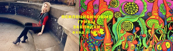 ECSTASY Лагань