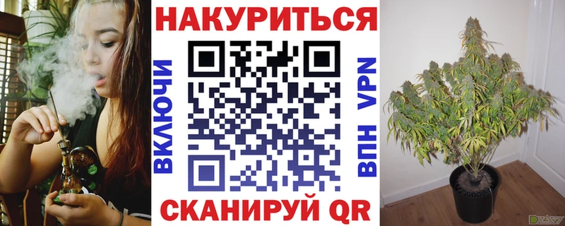 Канабис MAZAR  Невель 